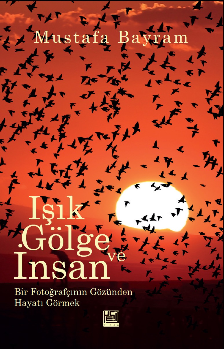 Işık Gölge Ve İnsan